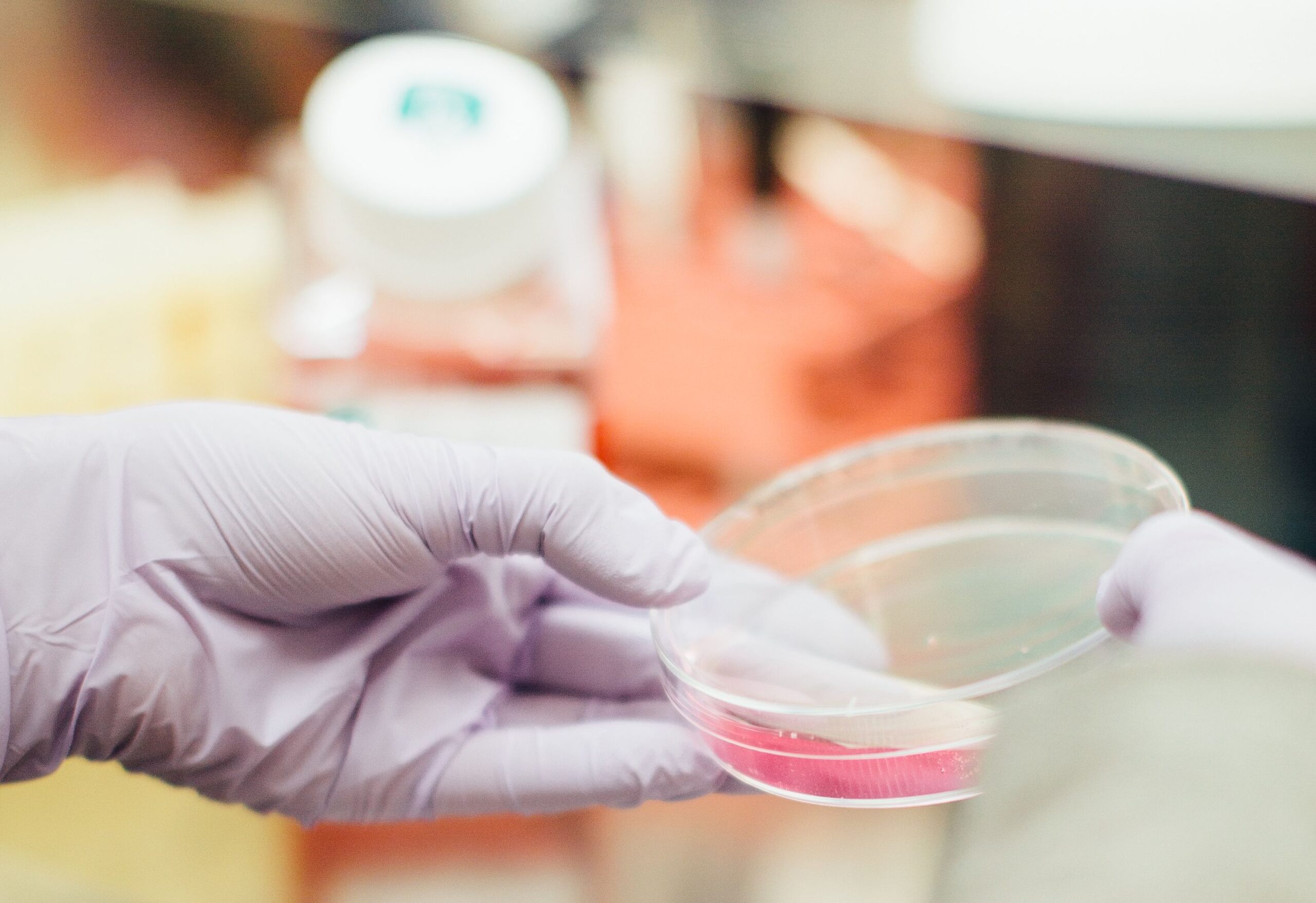 cell culture with hand and round conatiner 1
